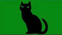 Perfil Gato